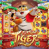 bet07 fortune tiger bet