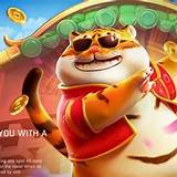 bulls fortune tiger bet