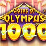 instastalker gates of olympus 1000