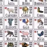 palpite do jogo do bicho random roulette